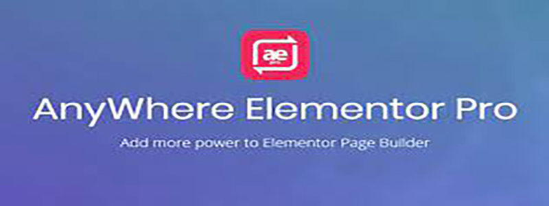 AnyWhere Elementor Pro.jpg