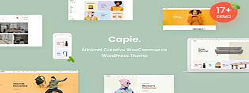 Capie - Minimal Creative WooCommerce WordPress Theme.jpg