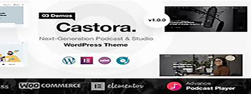 Castora theme.jpg