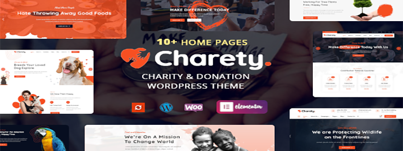 charety-charity-and-donation-wordpress-theme.png