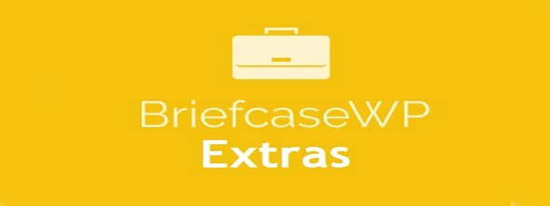 extras-for-briefcasewp-elementor-widgets.png