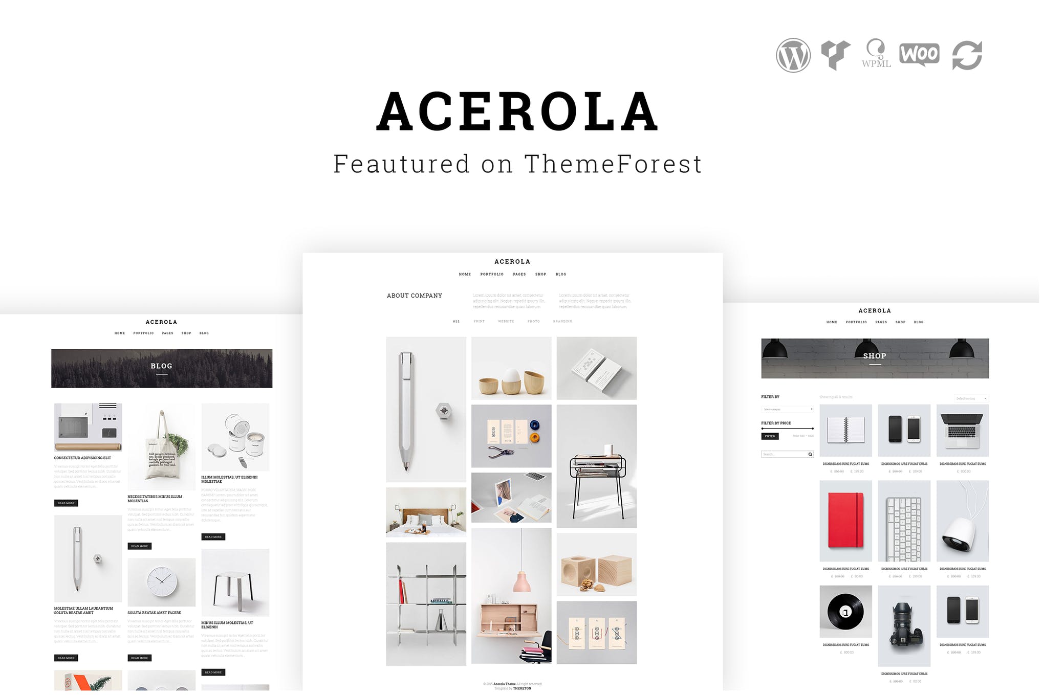 Gambiato-Acerola - Ultra Minimalist Agency WordPress Theme.jpeg