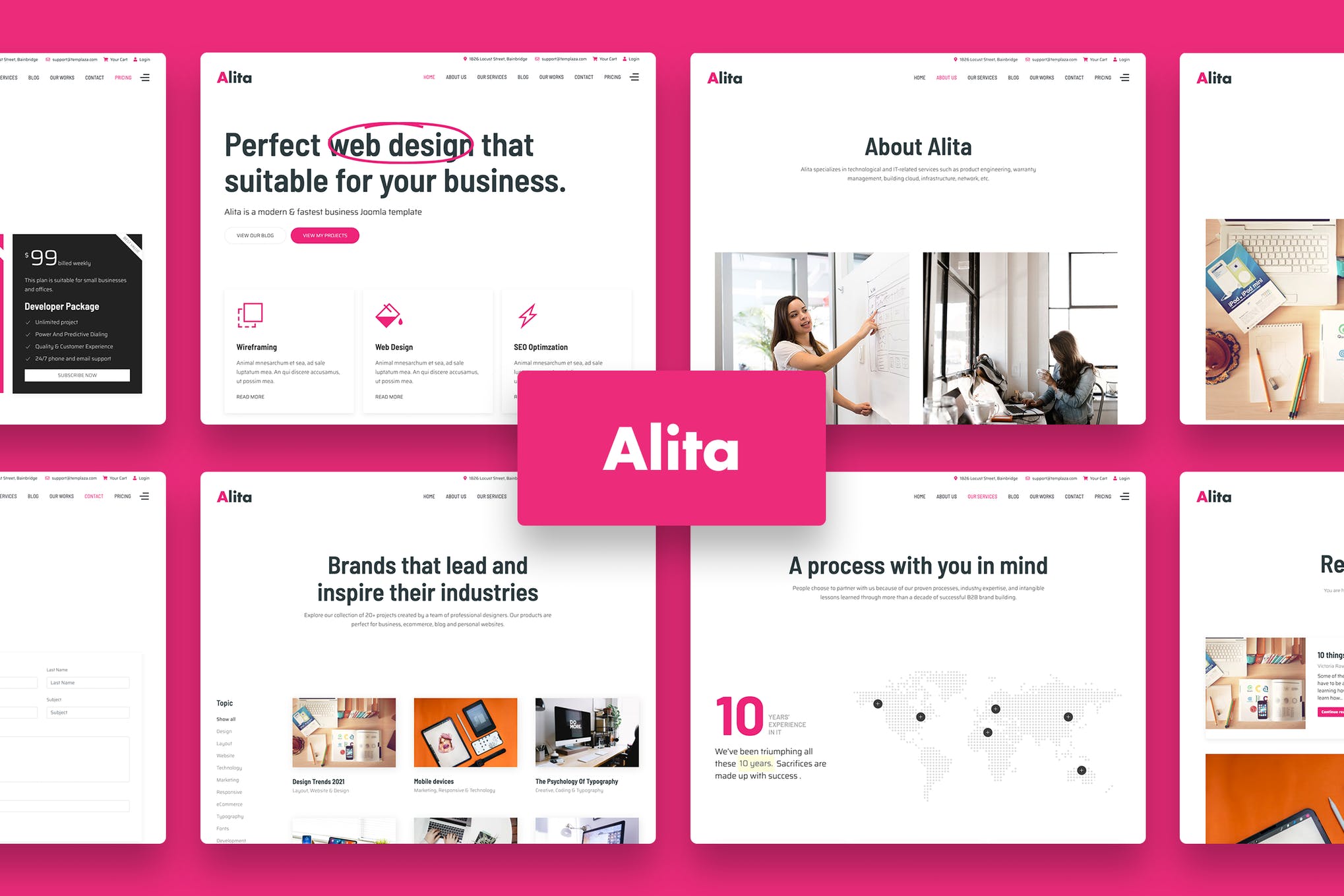 Gambiato-Alita - Web Studio WordPress Theme.jpeg