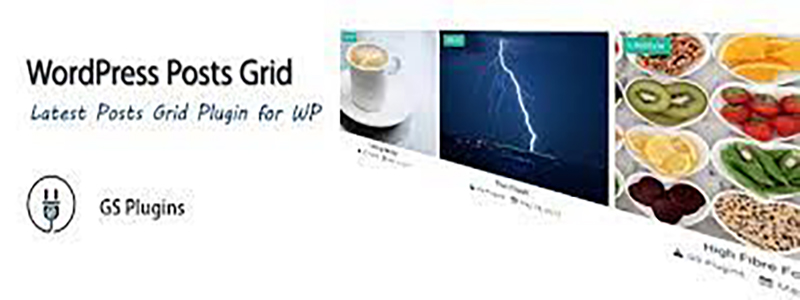 GS Posts Grid Plugin.jpg