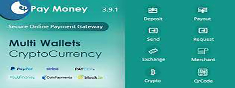 PayMoney - Secure Online Payment Gateway.jpg