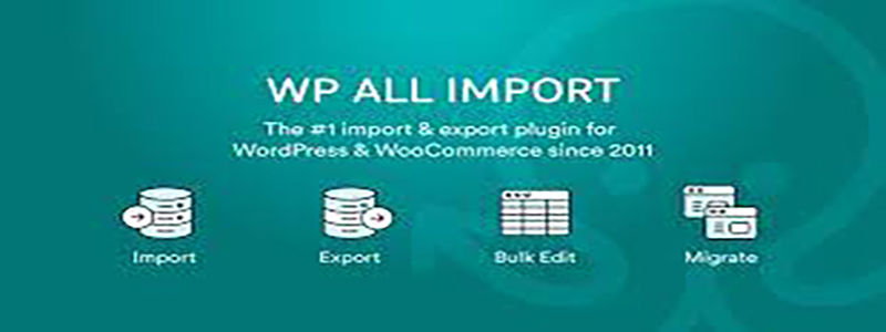 WP All Import Pro.jpg
