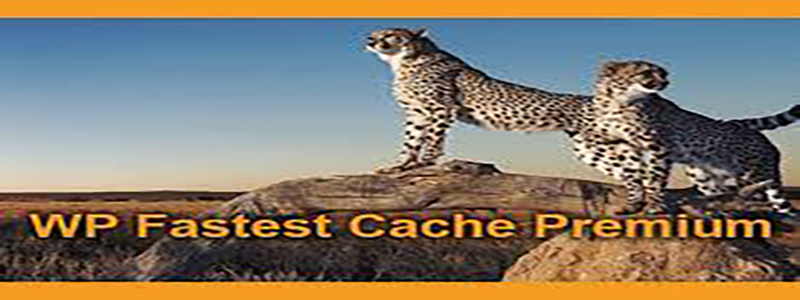 WP Fastest Cache Premium.jpg