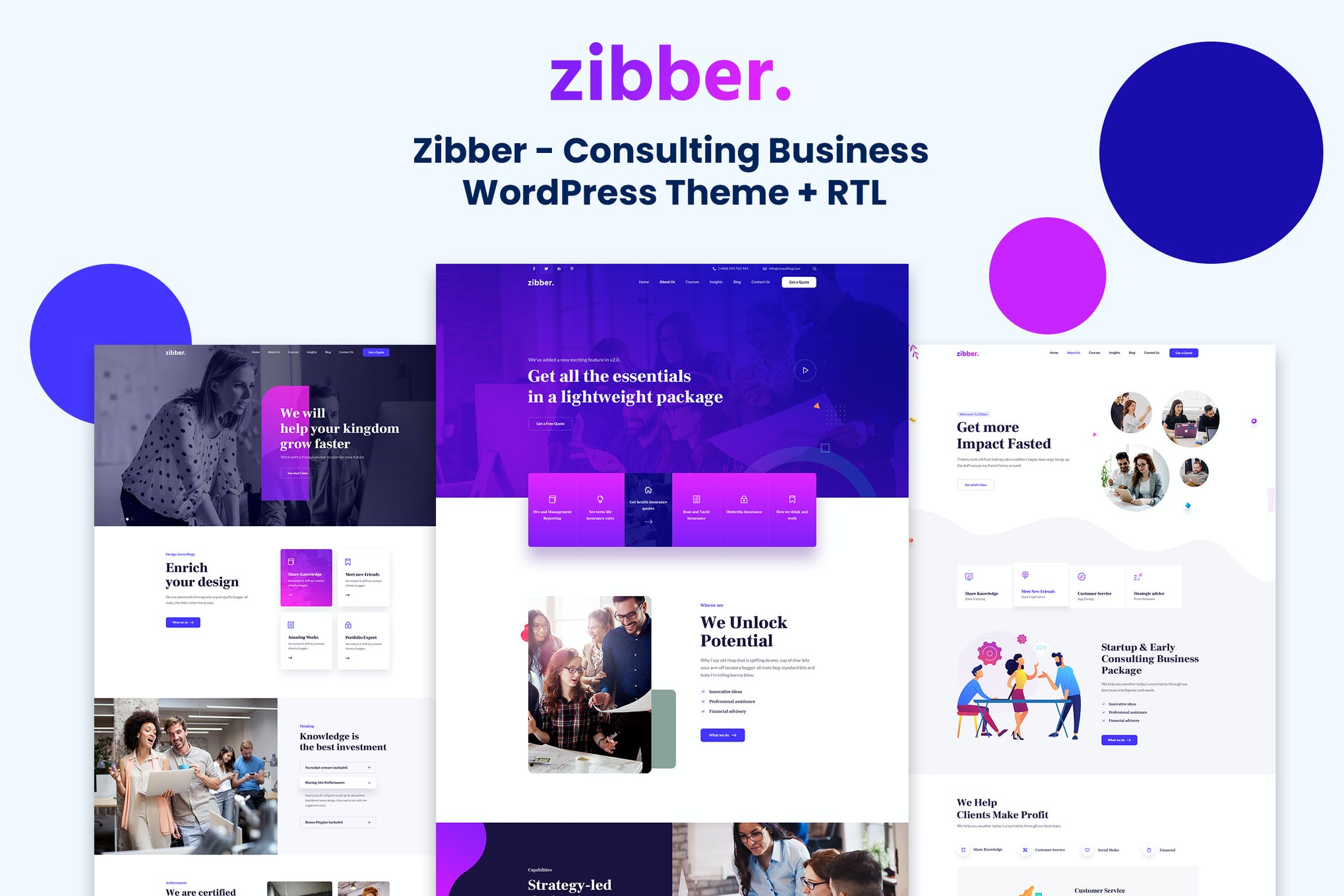 Zibber - Consulting Business WordPress Theme - RTL - Gambiato.jpeg