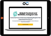 DTC Scale School – Facebook & Instagram Ads.jpeg