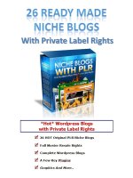 26 niche wp blogs.JPG 26 niche wp blogs.JPG