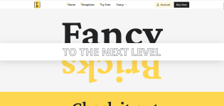 fancybricks.png fancybricks.png
