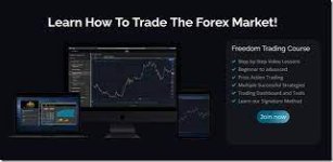 Freedom Trading Course – Financial Freedom Trading.jpeg