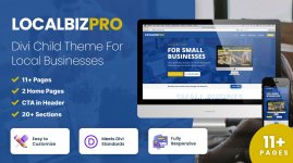 Localbiz Pro Divi Child Theme.jpeg Localbiz Pro Divi Child Theme.jpeg