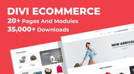 Divi Ecommerce.jpeg