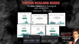 TikTok Scaling Secret for 6 FIGURE DAY [+ Testing Phase BONUS].jpeg