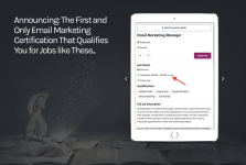 The Smart Blogger – Email Marketing Certification Program.png