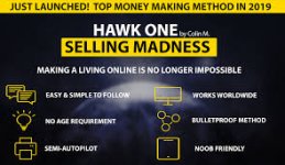 BUYSELLMETHODS - HAWK One – SELLING MADNESS – Unique Method to $3K Weekly.jpeg
