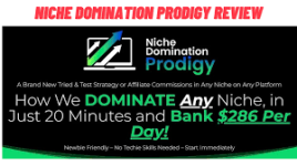 niche-domination-prodigy.png