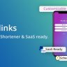 66biolinks - Bio Links, URL Shortener, QR Codes & Web Tools (SAAS)