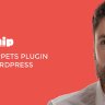 SNIP: Structured Data Plugin for WordPress