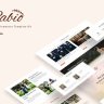 Rabio - Wedding Event Organizer Elementor Template Kit