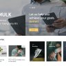 Mulk - Digital Agency Elementor Template Kit